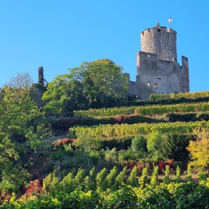 La Jolie Maison Bleue, Au Coeur De L'Alsace Kaysersberg-Vignoble Bagian luar foto