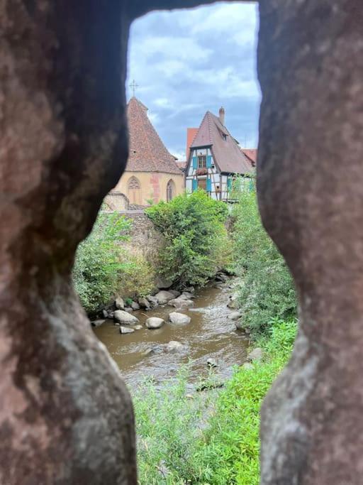 La Jolie Maison Bleue, Au Coeur De L'Alsace Kaysersberg-Vignoble Bagian luar foto